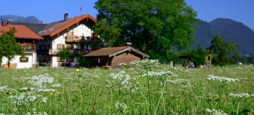 Ferienwohnungen Ramslerhof inkl. Chiemgaukarte - Ferienhaus 35 qm, Almhäusl, Terrasse, Kochnische, Schlafzimmer, Wohnschlafzimmer in Ruhpolding, Bayerische Alpen
