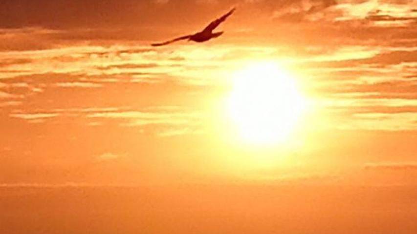 Ferienwohnung für 6 Personen, mit Garten in Heikendorf - 3