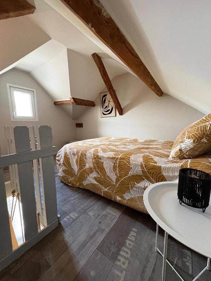 Gîte pour 5 personnes, avec terrasse et jardin à Chanas - 3