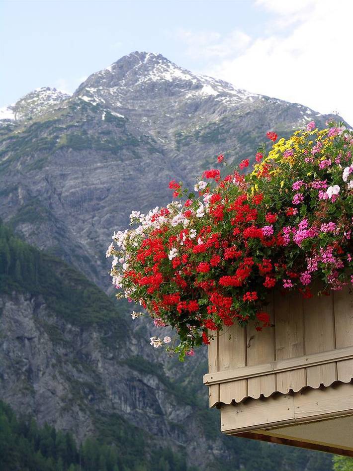 Ferienwohnung für 2 Personen, mit Ausblick und Garten, mit Haustier im Lechtal - 2