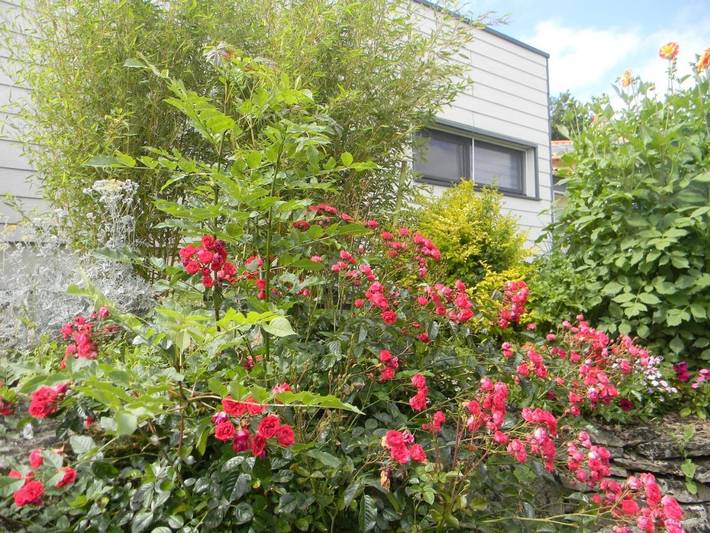 Location de vacances pour 4 personnes, avec vue et jardin à Les Epesses - 3