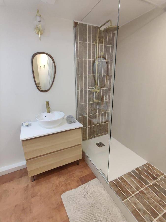 Gîte pour 4 personnes, avec terrasse et jardin à Neuville-sur-Saône - 3