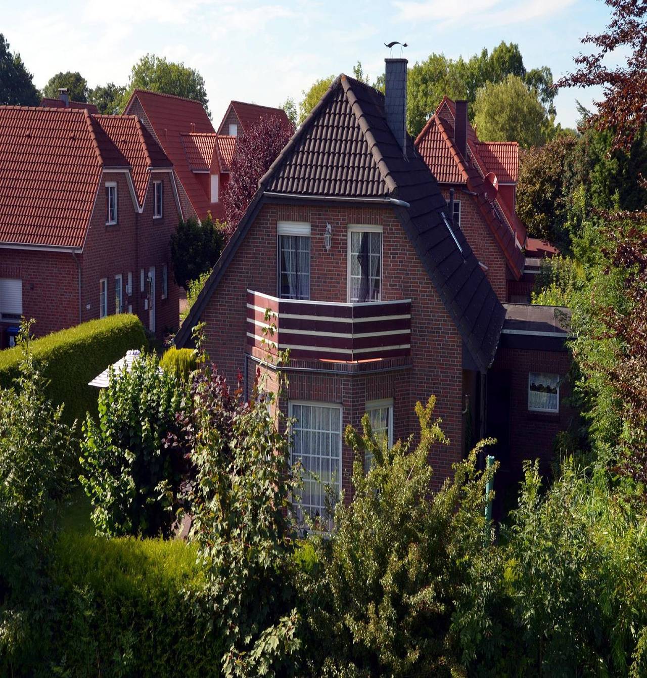 Hauptbild