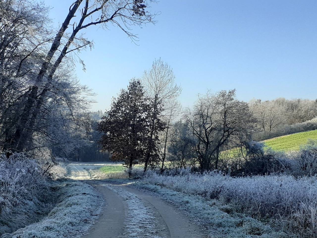 Ganze Wohnung, Ferienwohnung Kreiller - Ferienwohnung in Johanniskirchen, Ostbayern