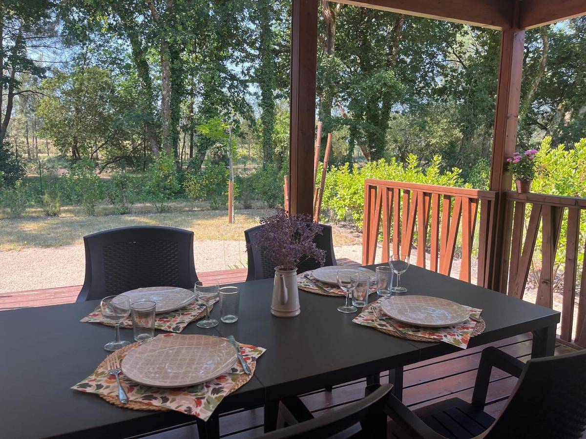 Chalet 19 Cosy bord de Lac, dans domaine avec piscine couverte accueil 4 voyageurs Loumaelou in Labouheyre, Landes