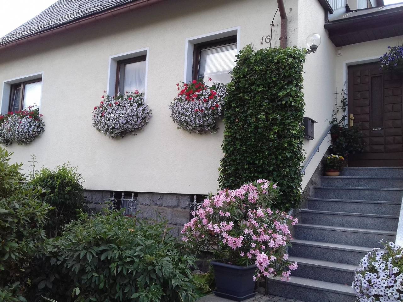 Ferienhaus Schelle - Ferienhaus, Dusche, Wc in Altenberg, Mittlere Erzgebirge