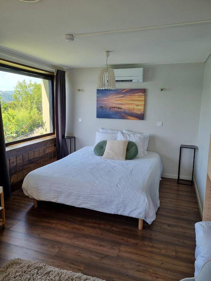 Hôtel pour 2 personnes, avec terrasse à Aiguebelette-le-Lac - 4