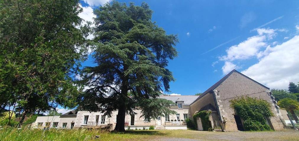 Gîte pour 4 personnes, avec jardin ainsi que piscine et jacuzzi à Chisseaux - 2