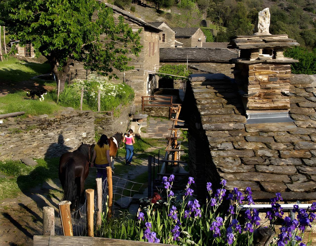 Chambres et table d'hôtes de vernet - frêne in Saint-Germain-de-Calberte, Parc national des Cévennes