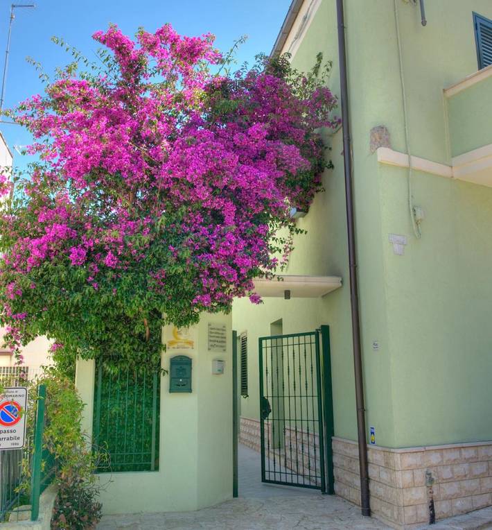 Location de vacances pour 3 personnes, avec Terrasse et Jardin à Campomarino