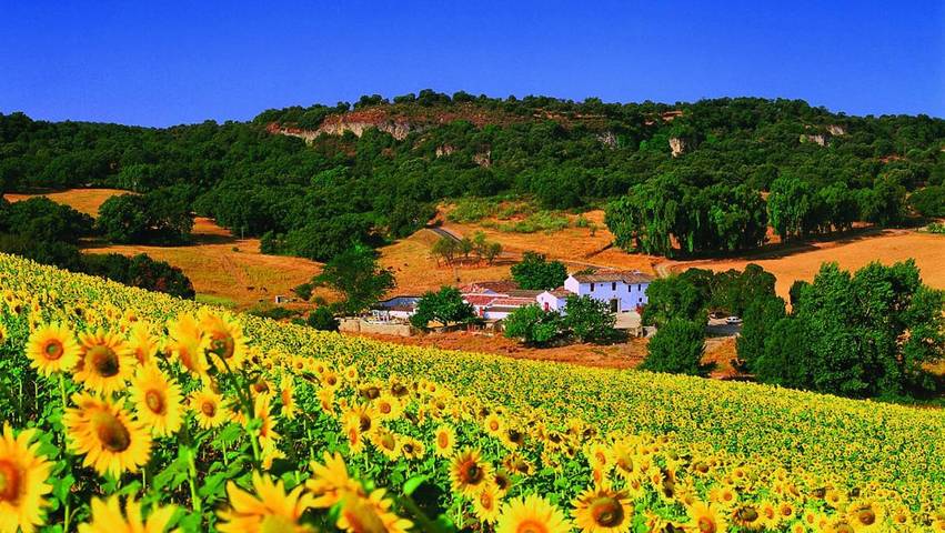 Hotel para 4 personas, con vistas además de piscina y jardín en Ronda - 3