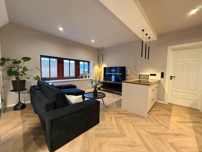 Ferienwohnung für 6 Personen, mit Sauna und Whirlpool, mit Haustier in Meißen - 4