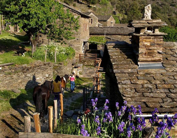 Chambre d’hôte pour 4 personnes, avec jardin, animaux acceptés dans Lozère - 3
