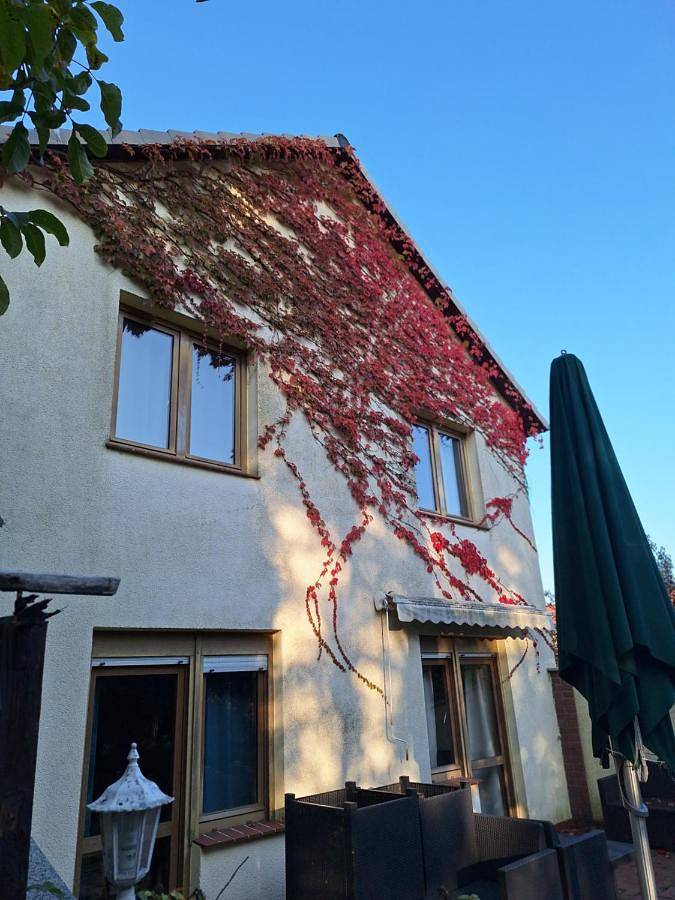 Ferienwohnung für 2 Personen, mit Terrasse und Garten sowie Ausblick in Stavenhagen - 4