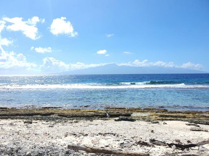 Location de vacances pour 4 personnes, avec jardin et balcon dans Mo'orea - 3