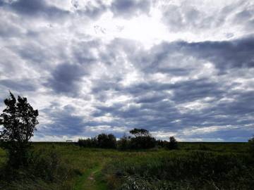 Ferienhaus für 6 Personen in Rødby, Lolland, Bild 4