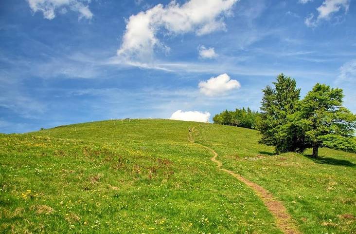 Gîte pour 3 personnes, avec vue à Orschwiller - 3