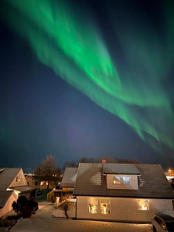 Gîte pour 2 personnes, avec jardin, animaux acceptés à Leknes