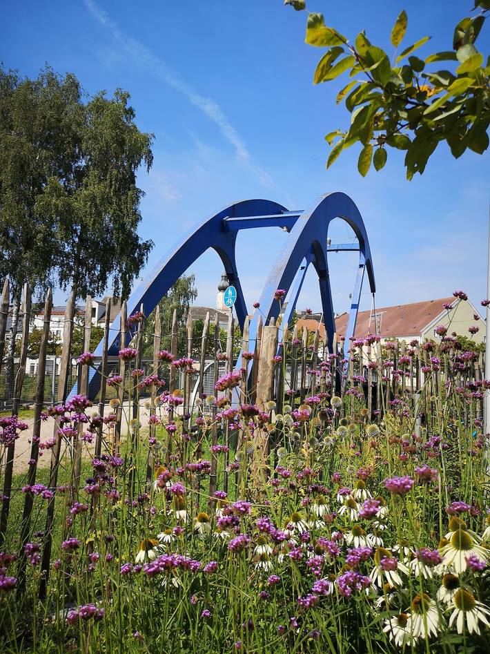 Ganze Wohnung, Ferienwohnung am Katzberg - Ferienwohnung am Katzberg (Cham in Cham, Ostbayern