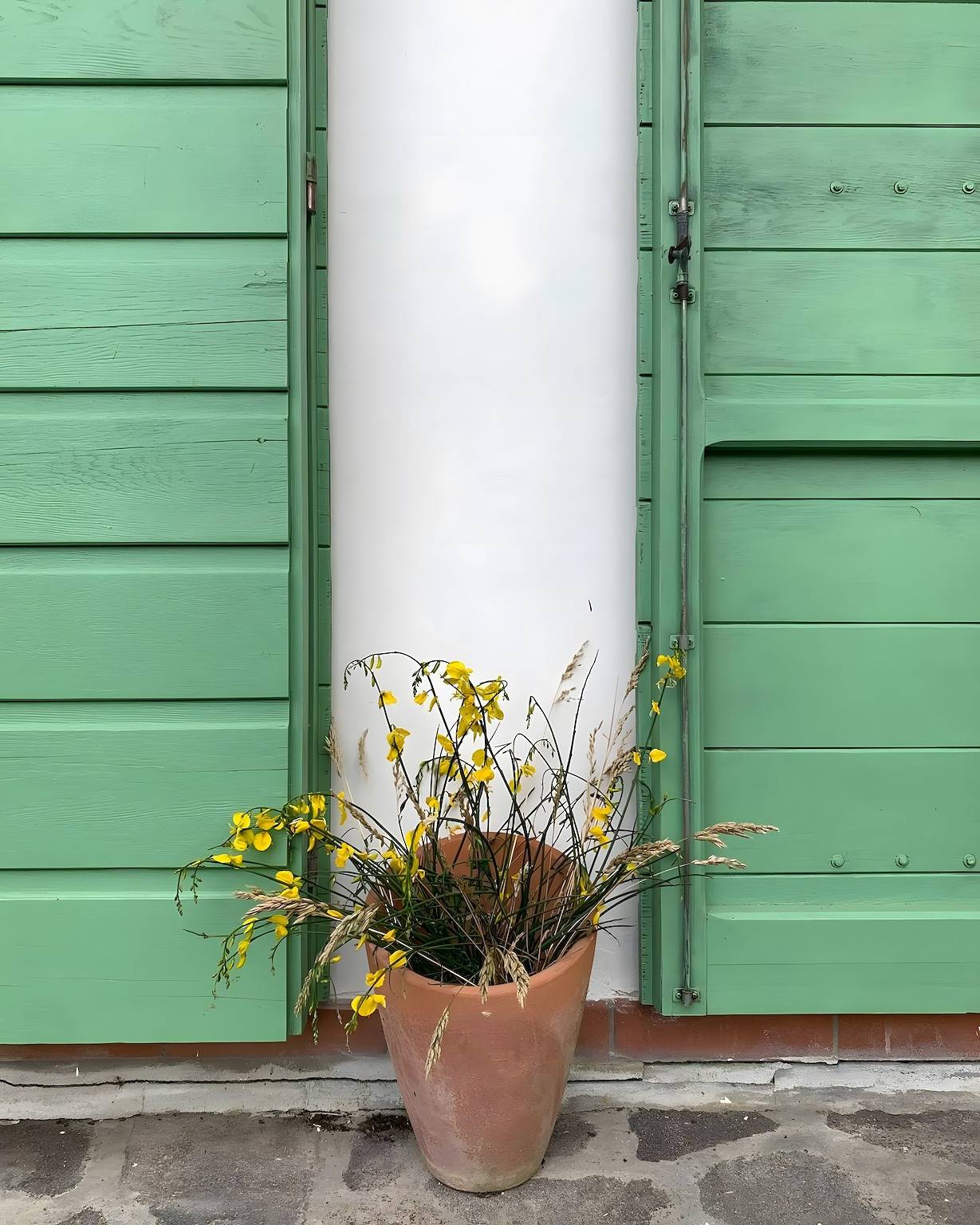 Apartamento entero, Apartamento 'Casa Ribellino' con terraza privada, jardín y Wi-Fi in Campiglia Marittima, Costa Etrusca