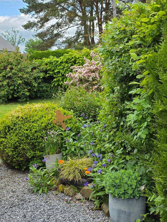 Gîte pour 2 personnes, avec vue et jardin à Wignehies