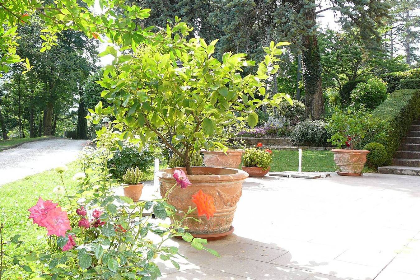 Lodge für 4 Personen mit Terrasse in Castell'Arquato, Piacenza Provinz
