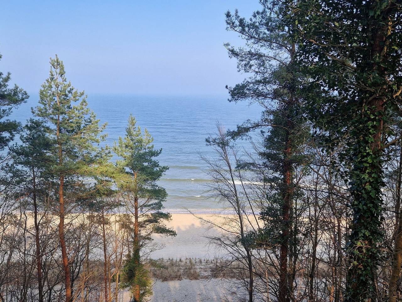 Koserow Hotel Wald und Meer - Zimmer Z12Kc in Ostseebad Koserow, Koserow