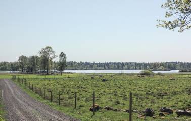 Bauernhof für 16 Personen in Kronoberg, Südschweden, Bild 3