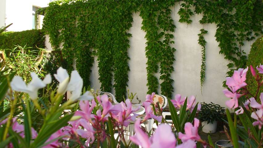 Ferienwohnung für 4 Personen in Cotta