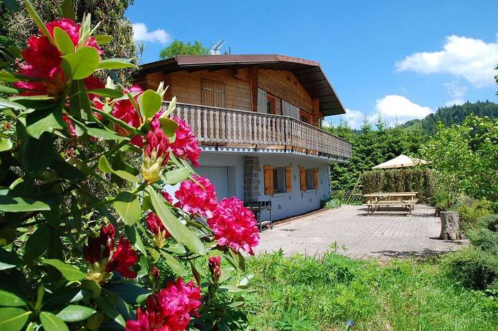 Chalet voor 12 personen, met tuin en balkon, met huisdier - 1