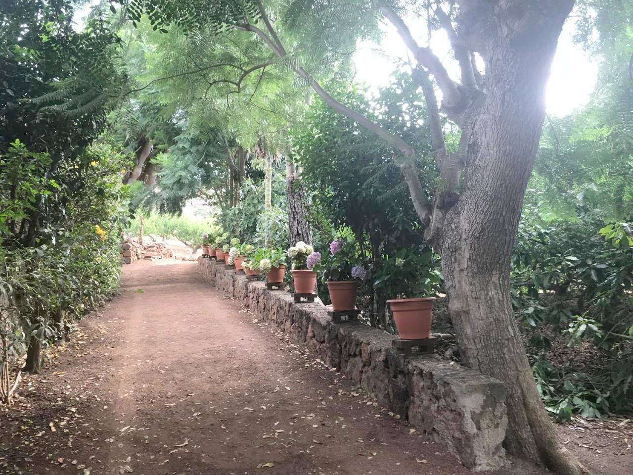 Finca El Vergel Rural in Molina (Canary Islands), San Cristóbal de La Laguna