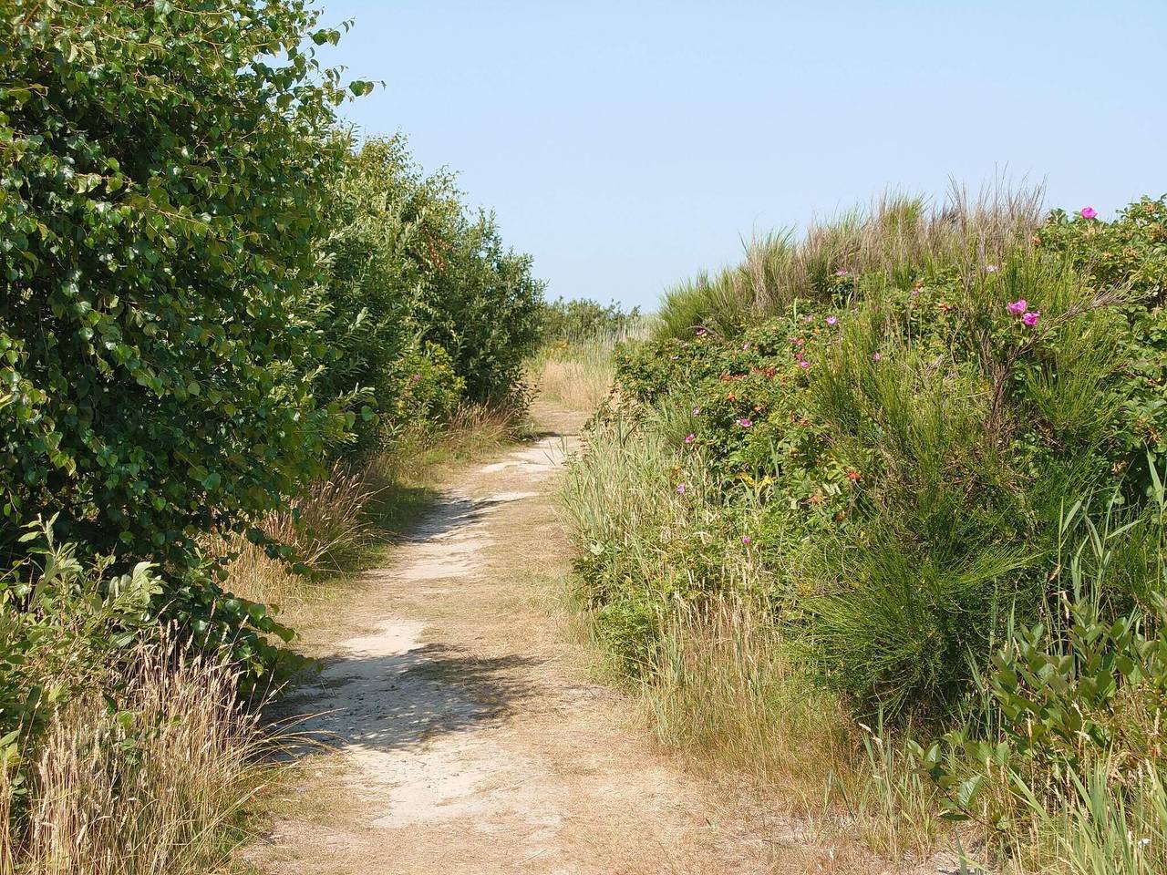 Luxurioses Pool-Refugium in Fjand, Nissum Fjord