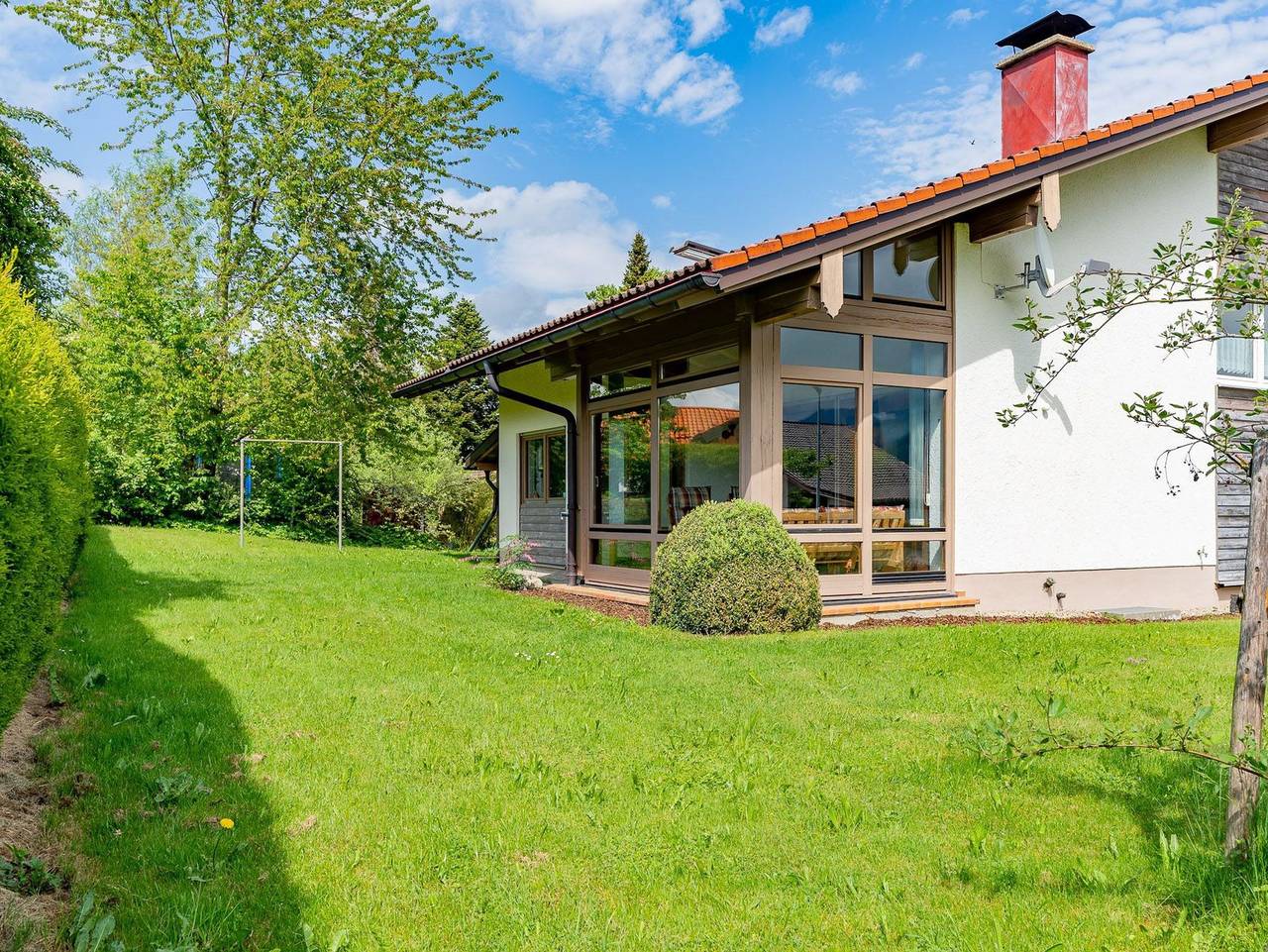 Bergfink in Waltenhofen, Bayerisch Schwaben