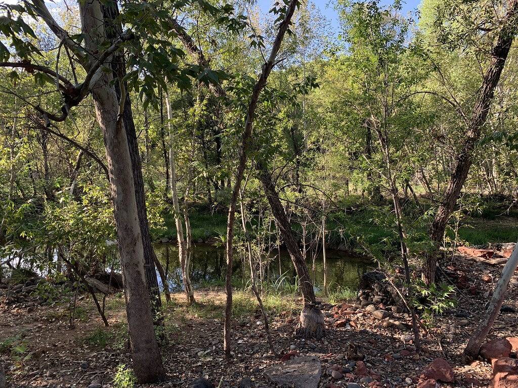 Creekside Cabin Under the Sycamores in Lake Montezuma, Coconino Nationalwald