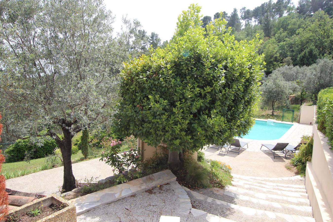 Ganze Ferienwohnung, Your Provençal Escape among Olive Trees, with a Private Pool in Callas, Draguignan Region