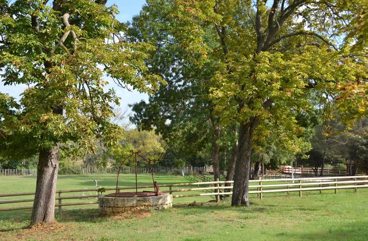 Gîte pour 5 personnes, avec piscine et terrasse à Le Crès - 3