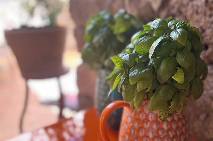 Location de vacances pour 6 personnes, avec terrasse à Salernes