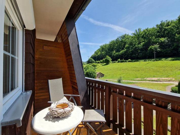 Ferienhaus für 2 Personen, mit Terrasse und Sauna sowie Ausblick und Garten in Eberbach