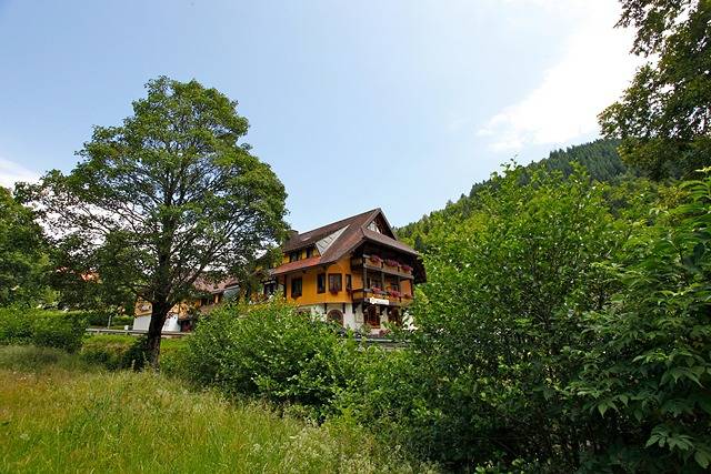 Hotel Gasthaus Hirschen - Einzelzimmer, 14qm, Dusche/Wc, teilweise mit Balkon in Brandenberg (Todtnau), Todtnau