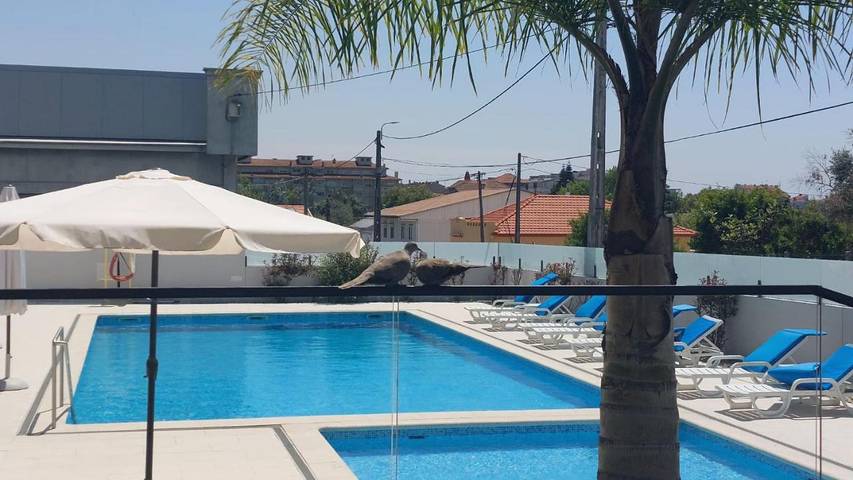 Hotel para 2 pessoas, com piscina e vista e ainda jardim em Espinho (Portugal)