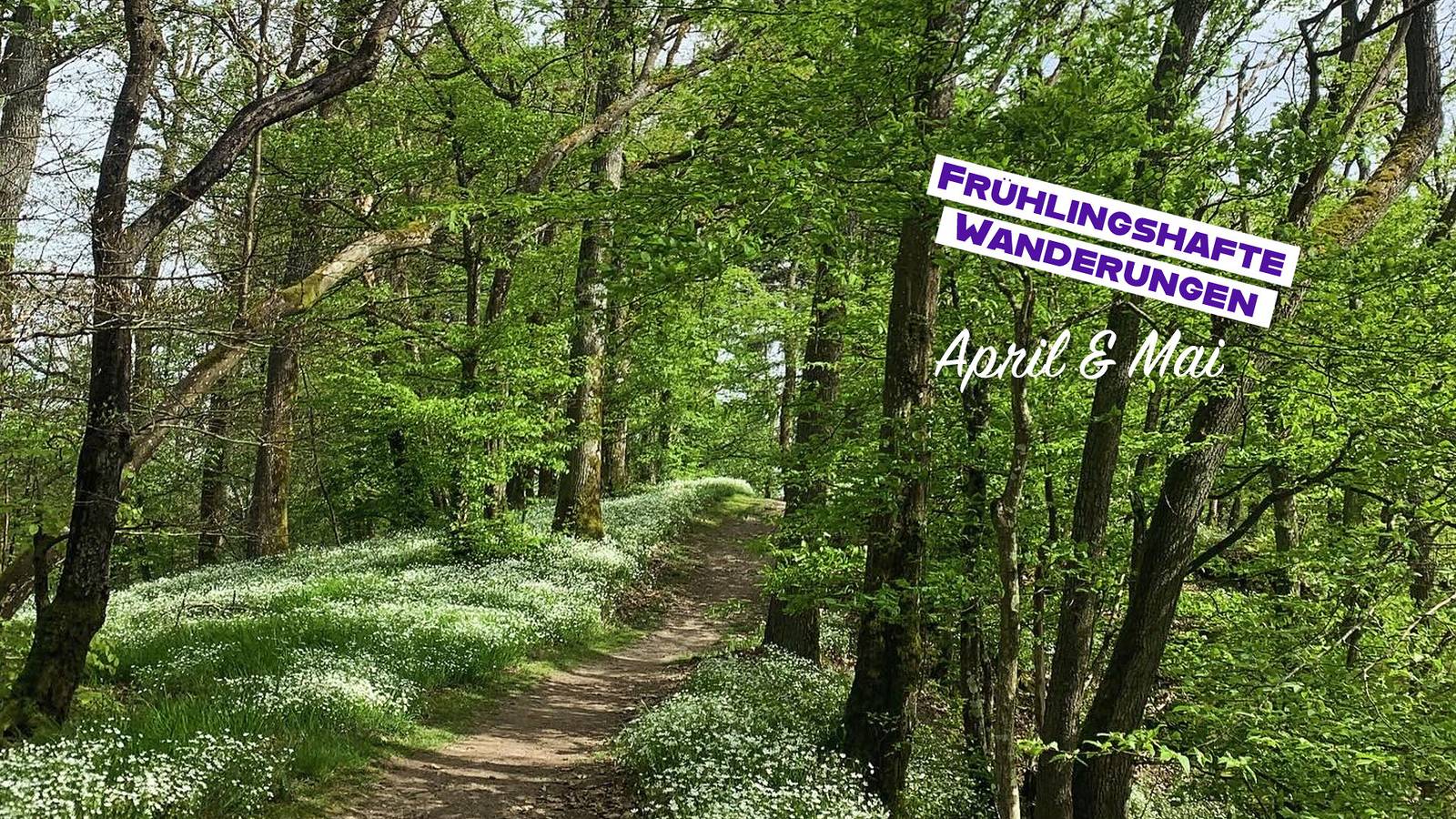 Ganze Ferienwohnung, 4-Bett-Ferienwohnung Kondel in Bad Bertrich, Traben-Trarbach und Umbegung