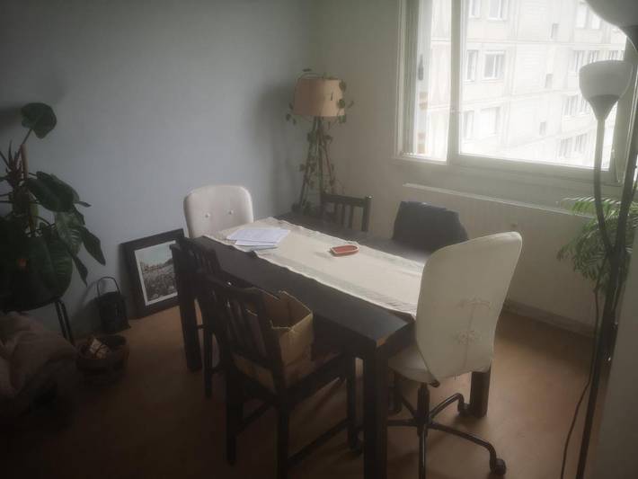 Gîte pour 4 personnes, avec vue dans Cité Internationale - 2