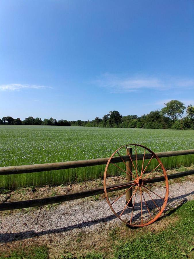 Gîte pour 2 personnes, avec jardin et vue à Saint-Symphorien (Eure) - 3