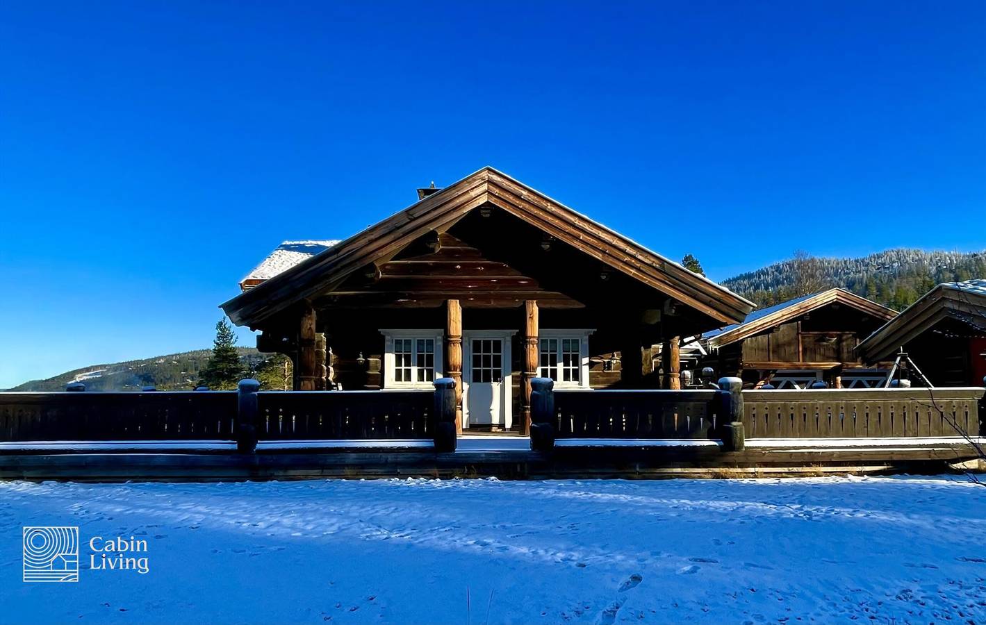 Luxury Cabin at Nesfjellet with sauna, bbq, close to ski & golf in Nes (Buskerud)