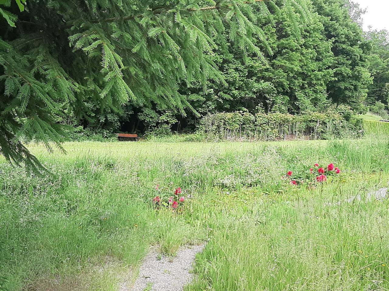 Ganze Ferienwohnung, Ferienwohnung Zizi - Ferienwohnung, 45 qm, 1 Schlafzimmer, 1 Wohn-/Schlafzimmer, max. 4 Personen in Stockach, Landkreis Konstanz