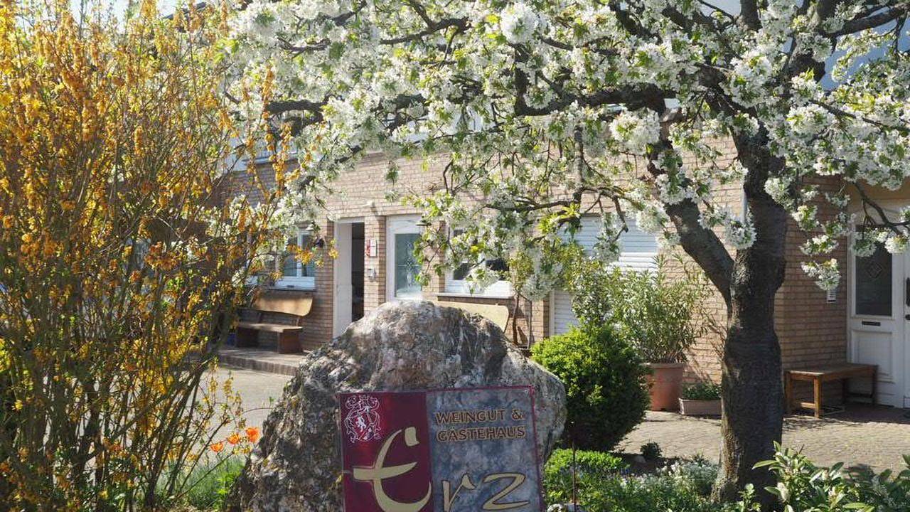 Ganze Ferienwohnung, Ferienwohnung für 4 Personen (44 m²) in Brauneberg in Brauneberg, Bernkastel-Kues & Umgebung