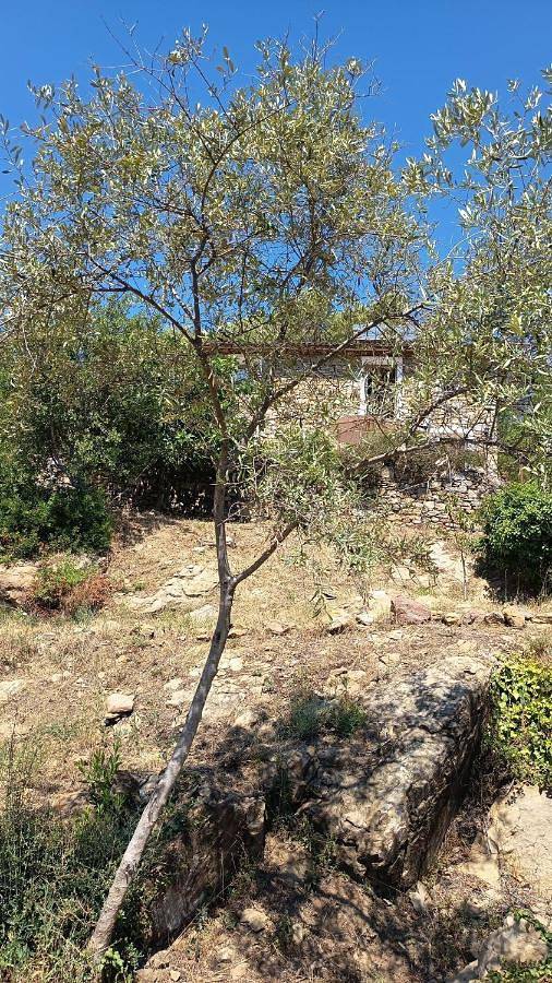 Chambre d’hôte pour 2 personnes, avec jardin et vue à Dolceacqua - 2