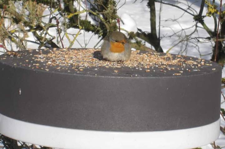 Villa für 4 Personen, mit Garten und Balkon in Bad Pyrmont - 4