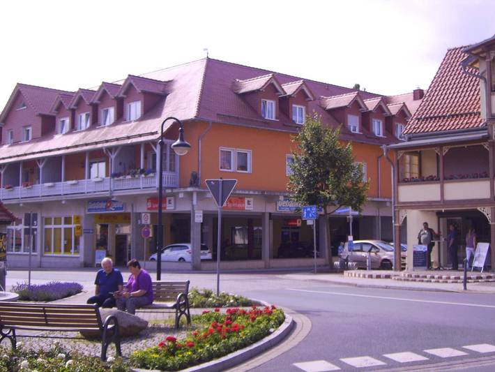 Ferienwohnung für 4 Personen, mit Terrasse in Gernrode (Harz)