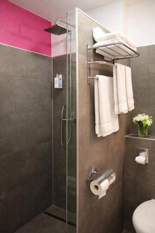 Hôtel pour 2 personnes, avec terrasse, animaux acceptés dans Marange-Silvange - 3